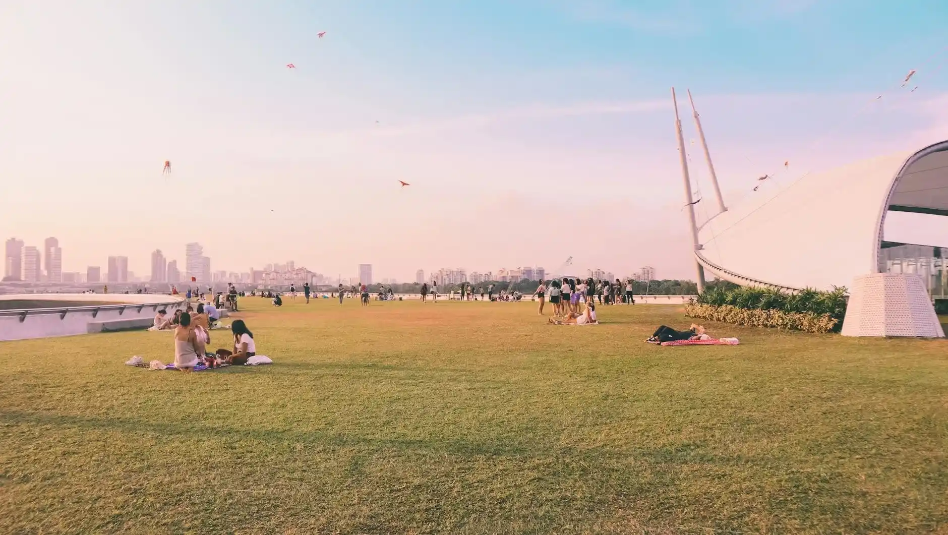 You Did Not Demonstrate Sufficient Social Integration Into Singapore